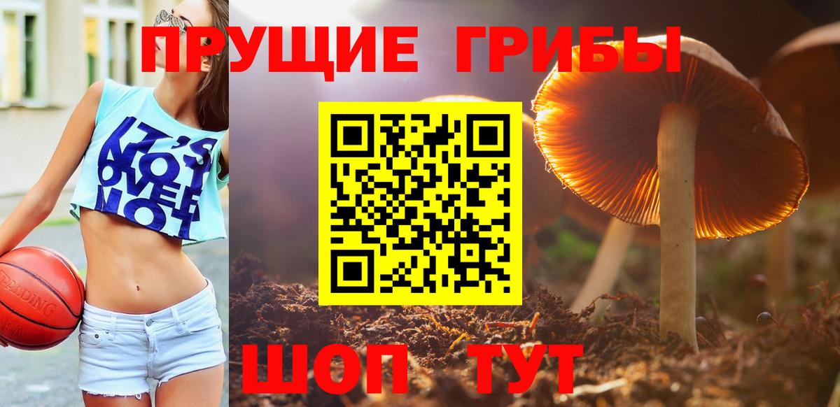 Галлюциногенные грибы мухоморы Видное